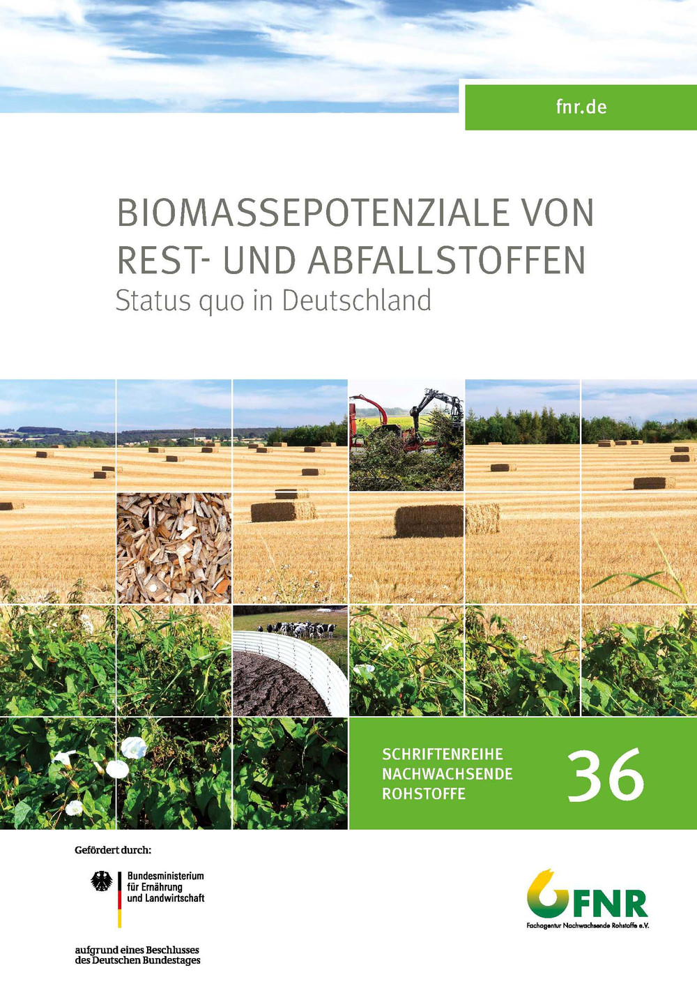 Band 36: Biomassepotenziale von Rest- und Abfallstoffen - Status Quo in Deutschland