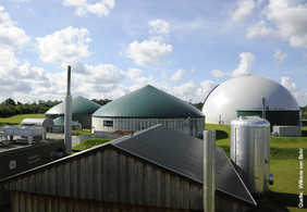 Flexibilisierte Biogaslange in Rixdorf Foto: Wilken von Behr