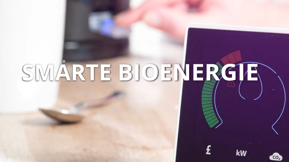 Smarte Bioenergie 