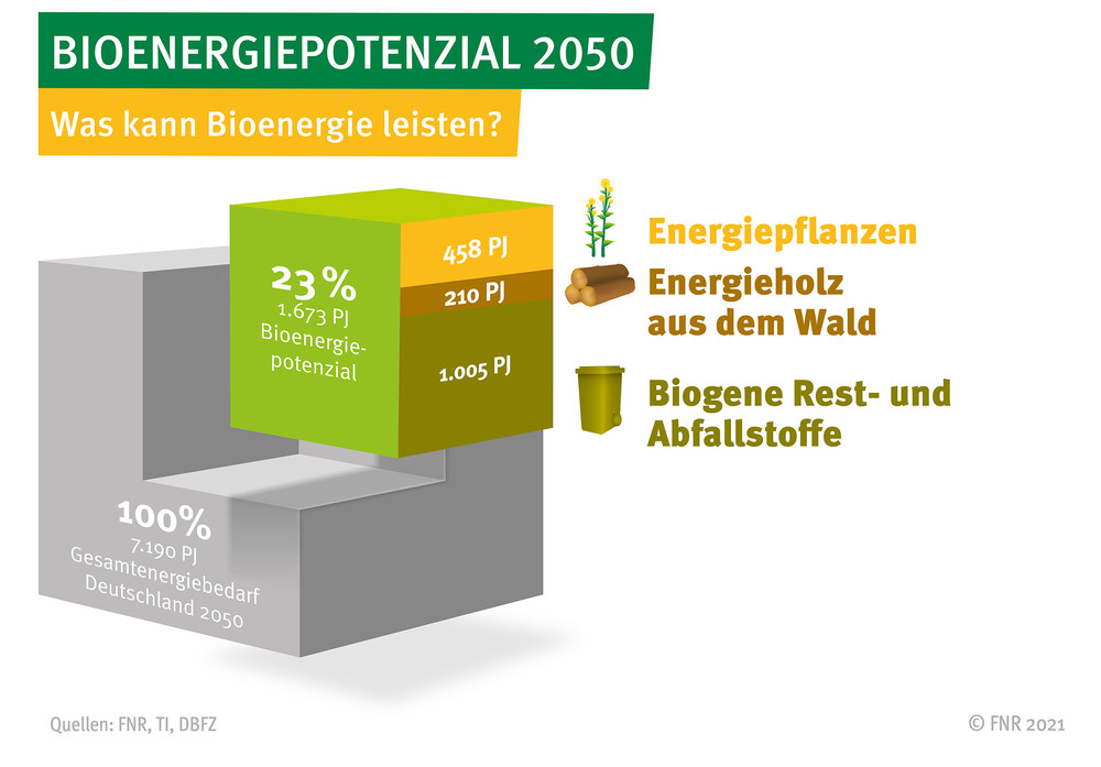 Biomassepotenzial 2050