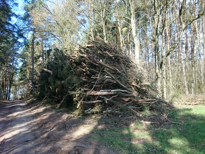 Waldrestholz aus Aufarbeitung von Kalamitätsholz nach Sturmschaden
