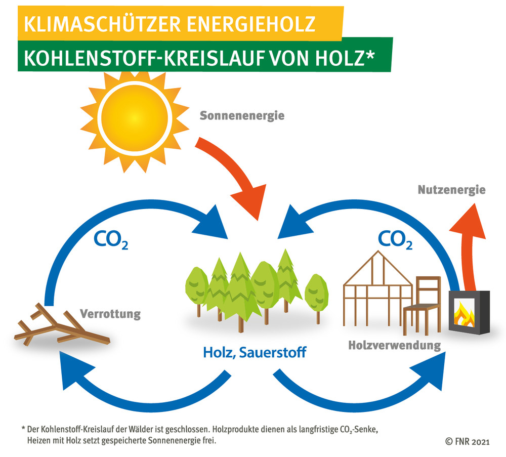 Klimaschützer Energieholz - Kohlenstoffkreislauf von Holz